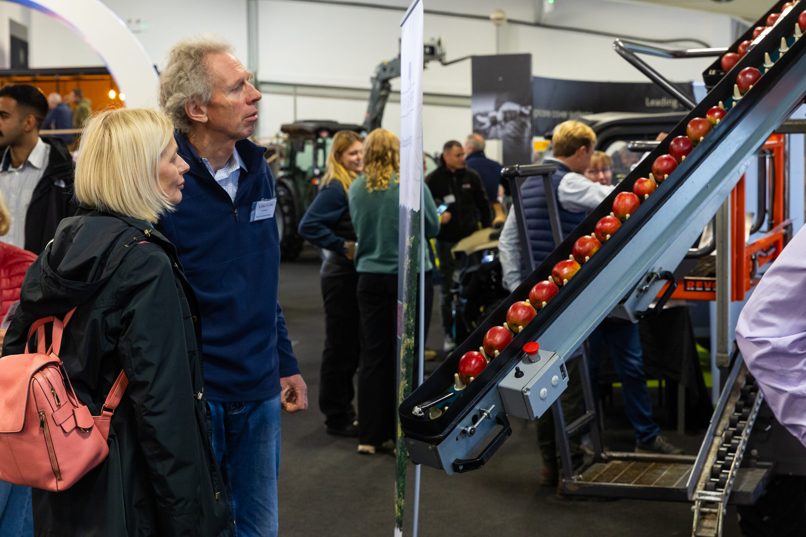 _A5A5339